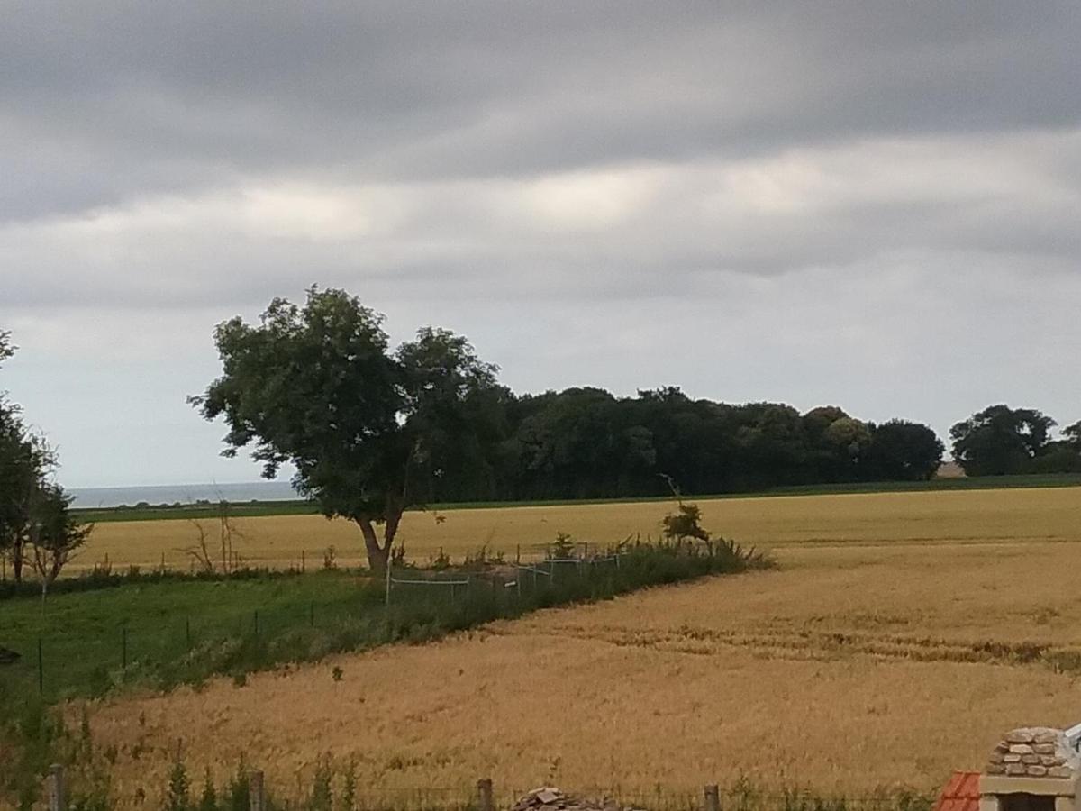 Cottage B2 Bazenville エクステリア 写真